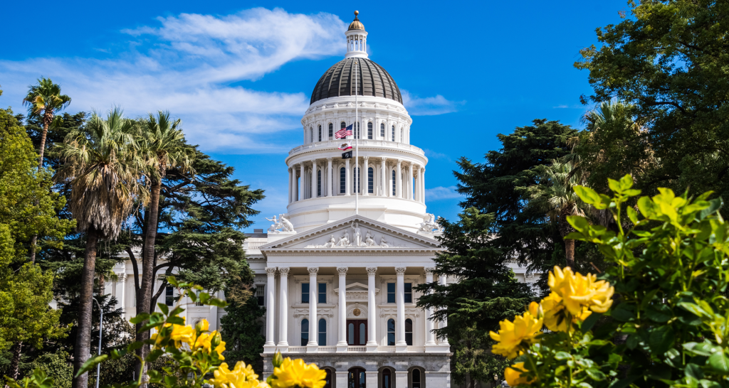 Unique Activities to Enjoy in Sacramento